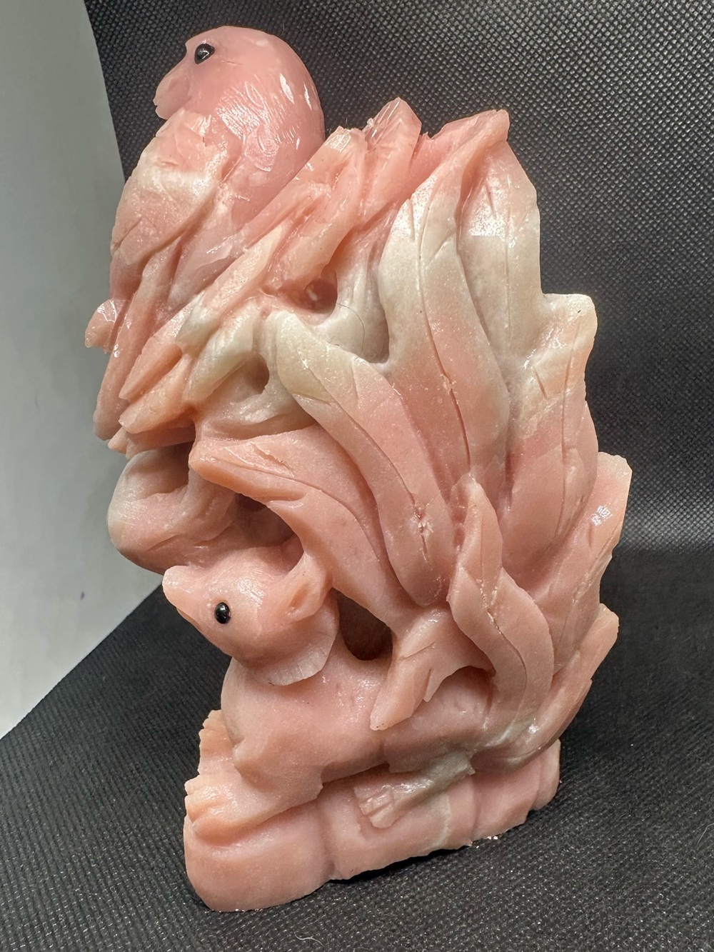 Pink opal ninetail w/ bird in tree